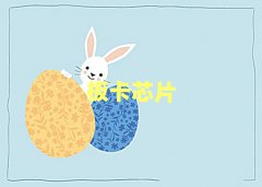 Ȫݰ忨оƬ(j)S