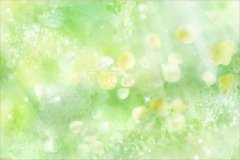 ɶA^(q)W(wng)վO(sh)Ӌ(j)ĂW(xu)У10