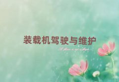 L(zhng)ɳ껨^(q)P܇CӖ(xn)ҪX