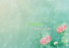 |I(yng)ӿڅ^(q)W(xu)ӢZ(y)Z(y)W(xu)ַ10