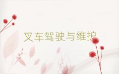 2025ꌎl(xing)܇CӖ