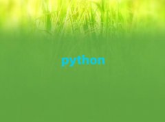 2025V݌W(xu)Pythonȫ+˹ܴҪʮ