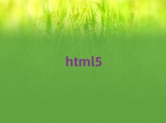 2018html5Ӗ(xn)VݶX(qin)