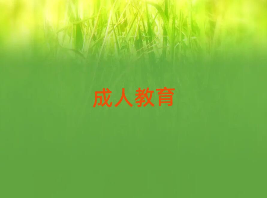 2019ĂӖ(xn)W(xu)и^