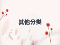 2025(j)Ϛv^(q)W(xu)СW(xu)̈ʲô