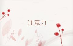 2025L(zhng)ɳ껨^(q)ͯ(zhun)עӖ(xn)W(xu)УЩ