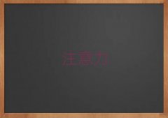 ڼA·ںעӖ(xn)Ӗ(xn)