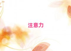 2025кעӖ(xn)C(j)(gu)