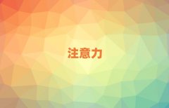 ^(q)W(xu)ӛӖ(xn)ʮ