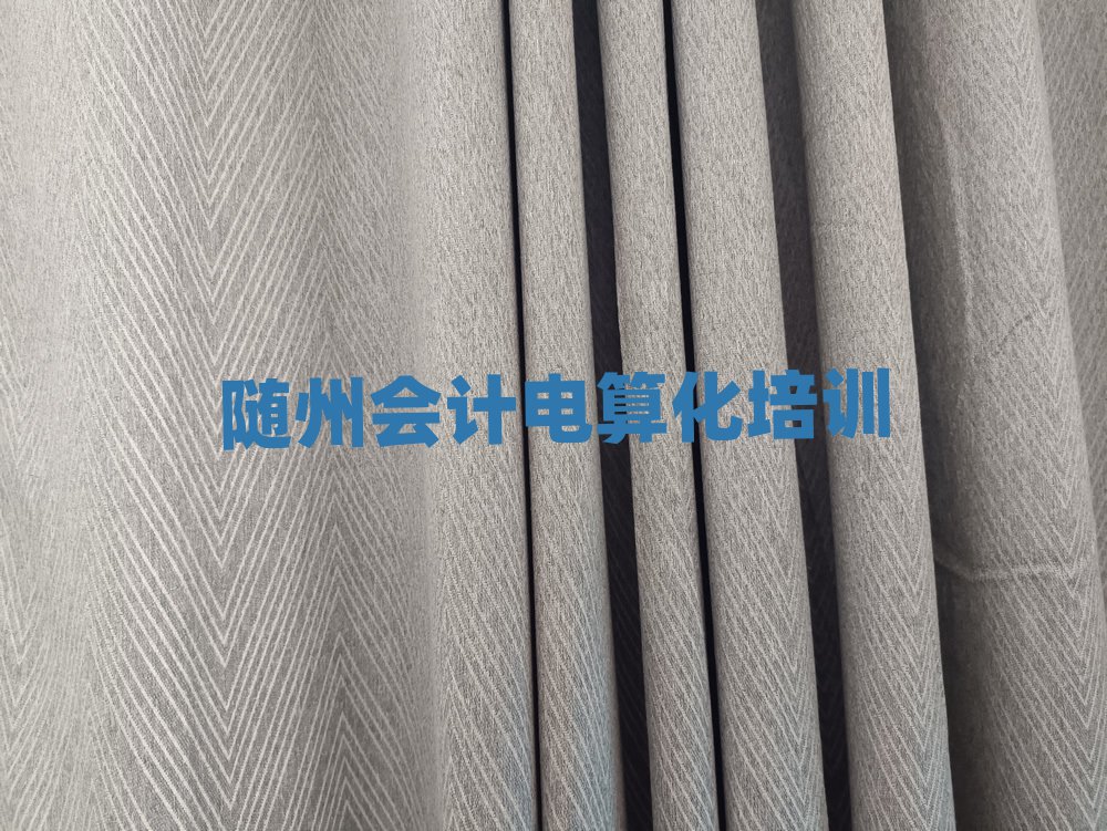隨州會(huì)計(jì)電算化正規(guī)培訓(xùn)是什么
