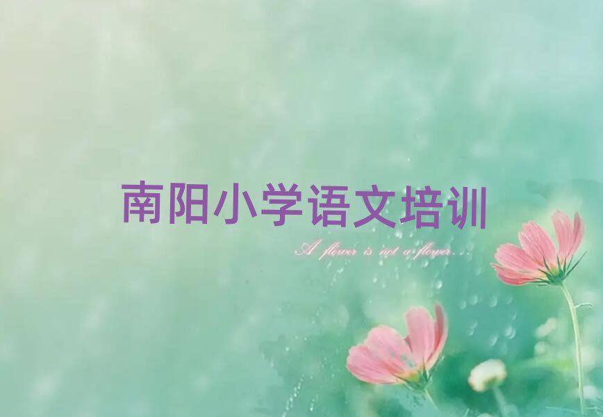 南陽臥龍區(qū)小學(xué)語文培訓(xùn)班多少錢名單榜首一覽