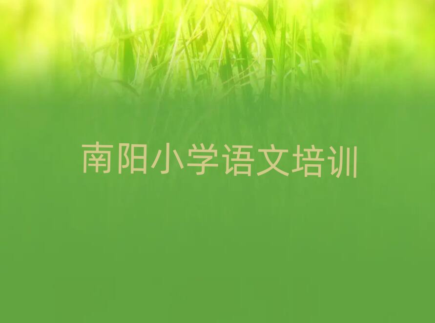 南陽臥龍區(qū)小學(xué)語文培訓(xùn)班多少錢名單榜首一覽
