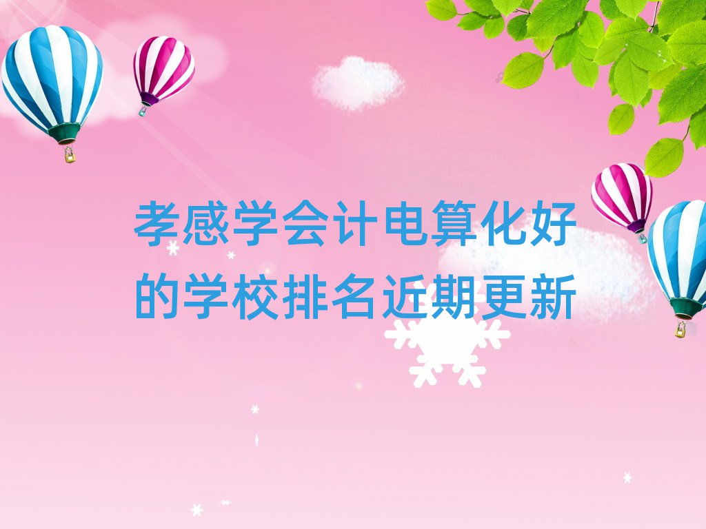 孝感學(xué)會(huì)計(jì)電算化好的學(xué)校排名近期更新