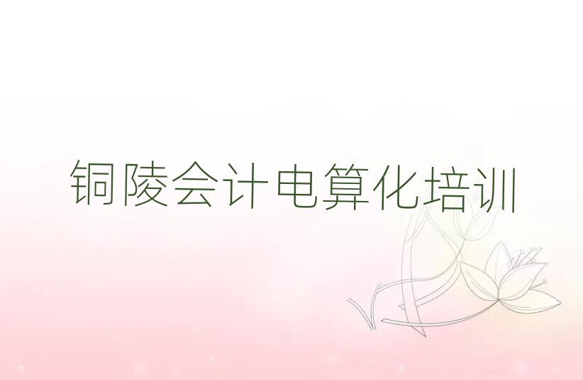 2025年銅陵郊區(qū)學(xué)會(huì)計(jì)電算化學(xué)校值得推薦的名單榜首一覽
