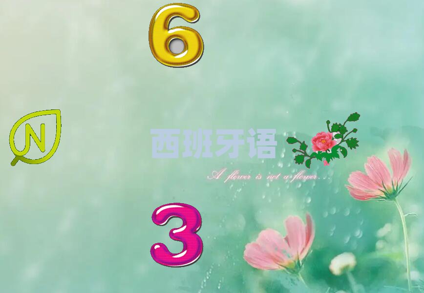 2019꺼D(zhun)W(xu)كZ(y)W(xu)