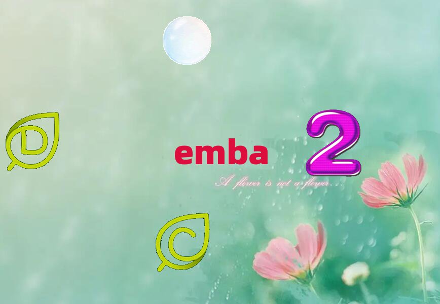 򱱳^(q)EMBAԇĿ