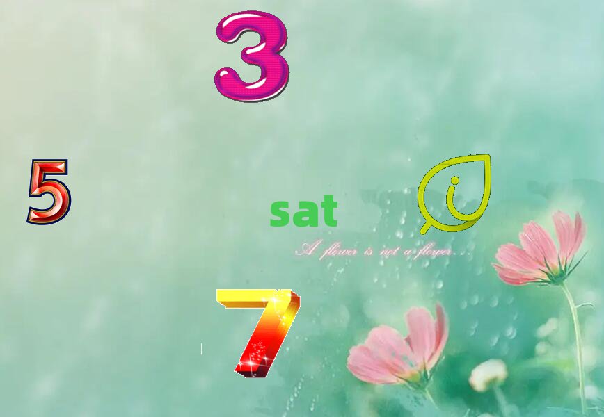 |ݸsatĵط